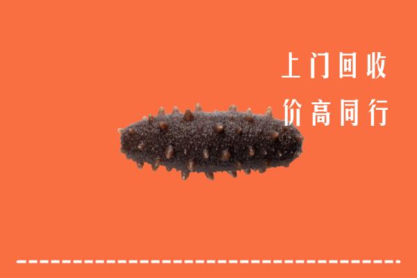 邵阳高价回收海参
