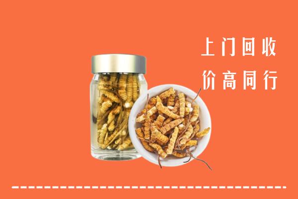 邵阳回收冬虫夏草